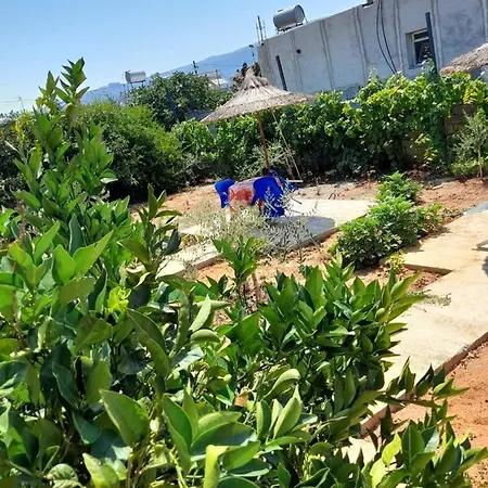 Rey Garden Guest house Vlore