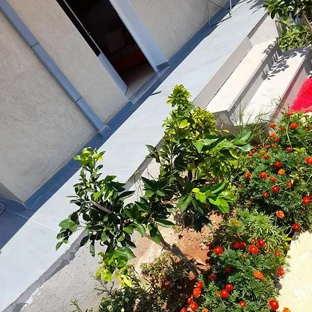 Rey Garden Gasthof 3*