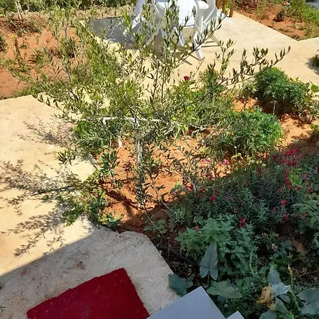 Rey Garden Guest house Vlore