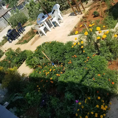 Rey Garden Guest house Vlore